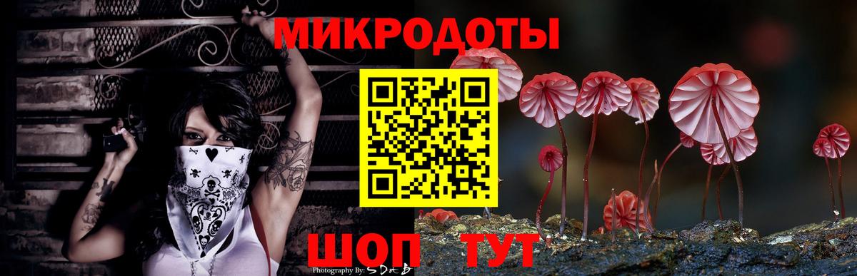 Псилоцибиновые грибы GOLDEN TEACHER Мурманск